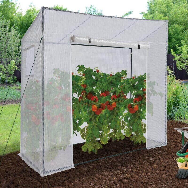 IDMarket Serre de jardin blanche toute saison