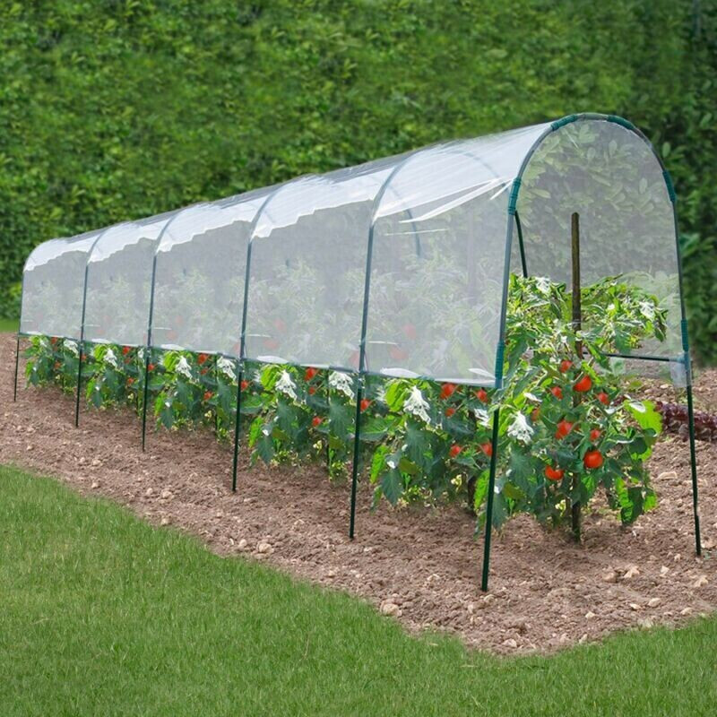 IDMarket Serre à tomates 6 m