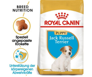 Buy Royal Canin Jack Russell Terrier Puppy Dry Food from 11.98