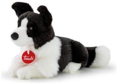 Trudi Border Collie Scott S