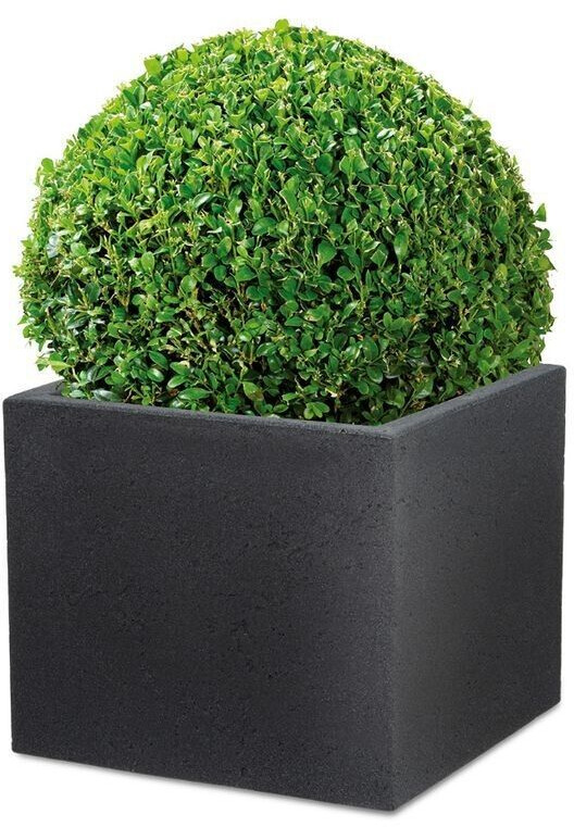 Scheurich C-Cube Long Serie 240 60cm schwarz granit ab 52,96 € |  Preisvergleich bei