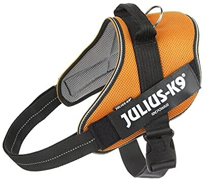 Julius K-9 Harnais pour chien XXL Orange