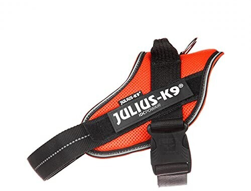 Julius K-9 Harnais pour chien M Orange