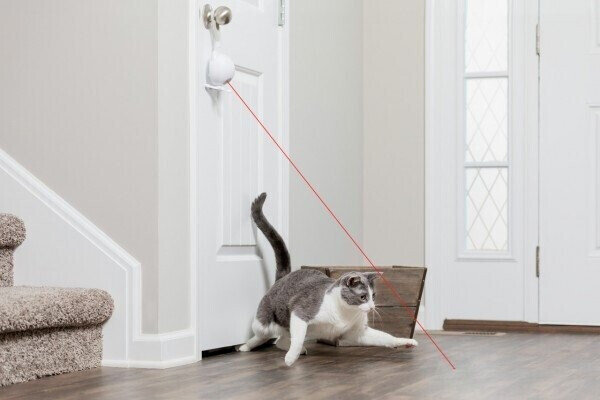 Petsafe Pointeur laser pour chat Petsafe Pointeur laser pour chat