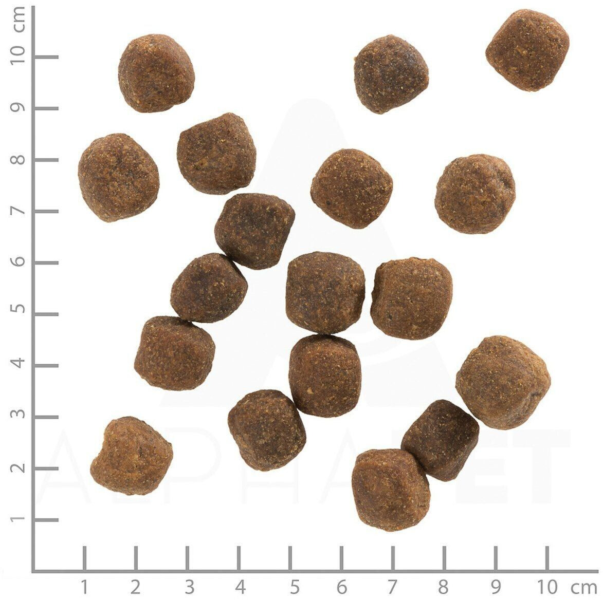 Wolfsblut Croquettes pour chien Wild Duck Adult 12.5kg Wolfsblut Croquettes pour chien Wild Duck Adult 12.5kg