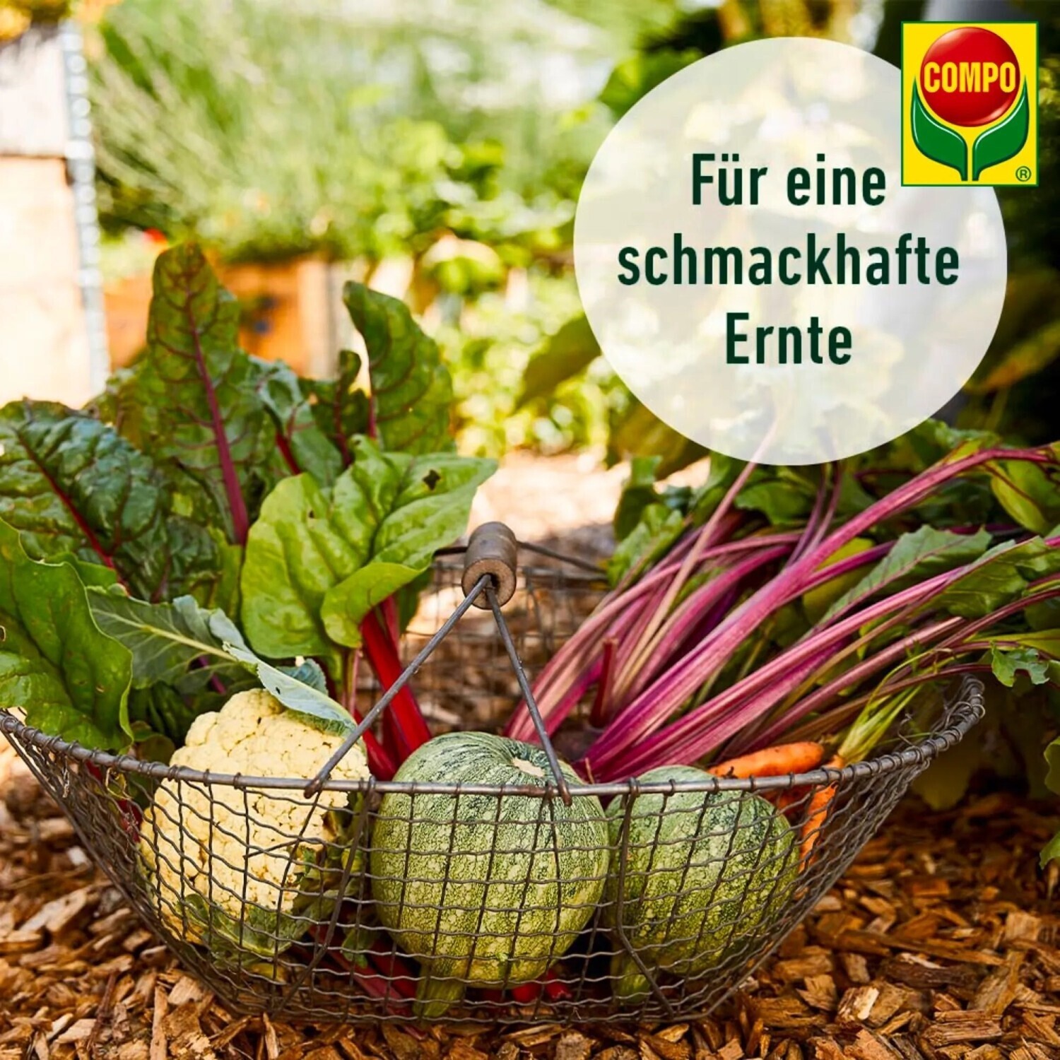aloe vera narben Aloe Vera Gel 87,399 %: Verbrennungen, Akne, Narben, Sonnenbrand – Siam  Marketplace main image 1