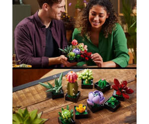 LEGO Creator Botanical Collection Succulents 10309