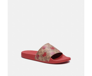 Buy Coach Udele from 48.00 Today Best Deals on idealo