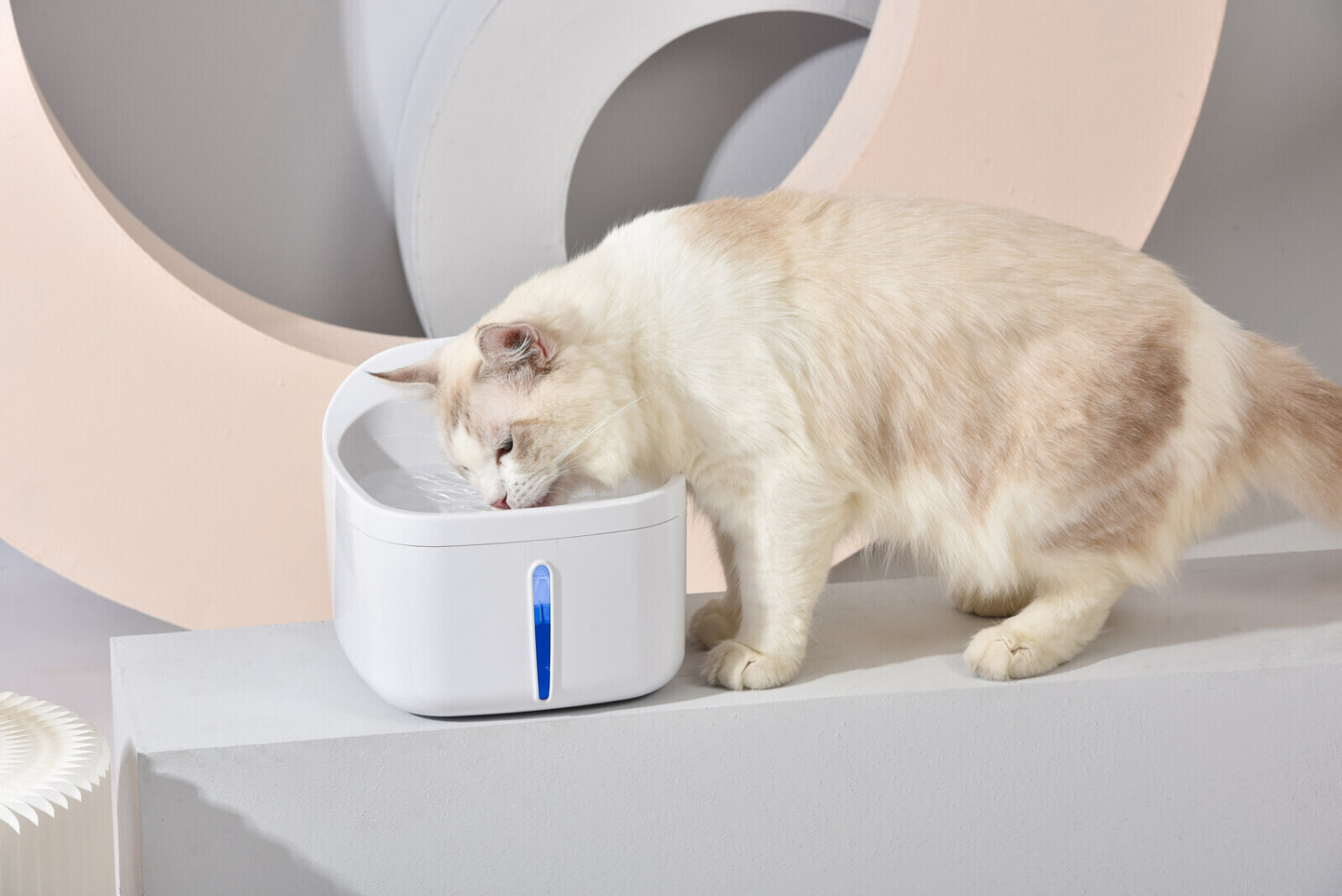 Dogness Fontaine à eau pour chat 2L White Dogness Fontaine à eau pour chat 2L White