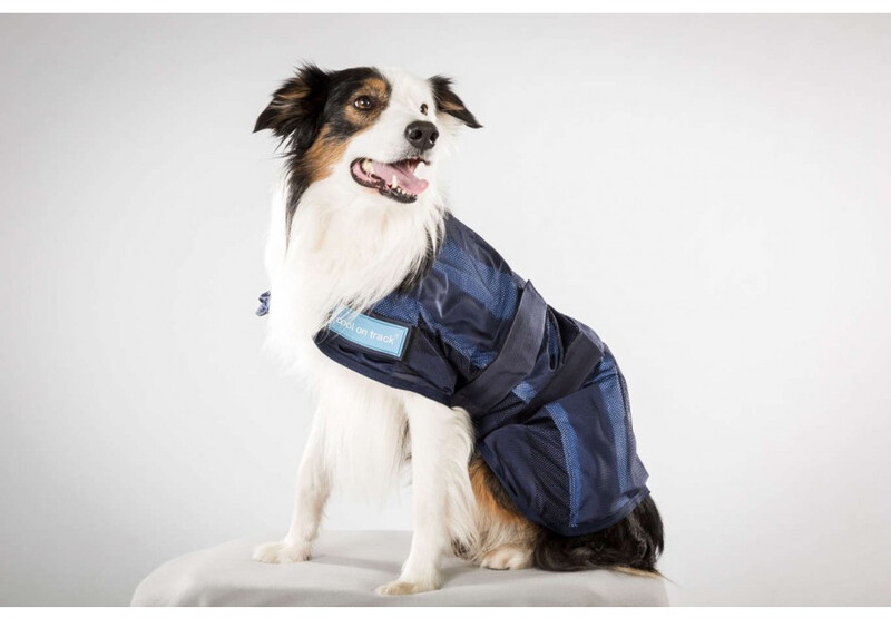 Back on Track Manteau pour chien Cooling Dog Coat 30cm Back on Track Manteau pour chien Cooling Dog Coat 30cm