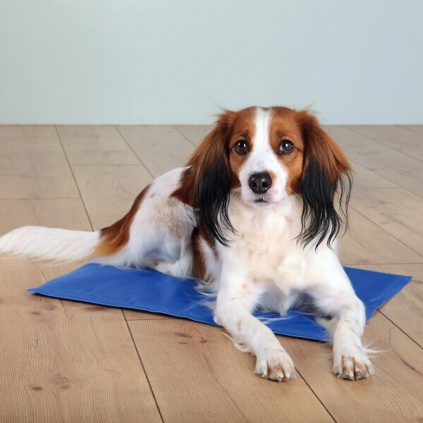 Papillon Cooling mat for dogs blue 120x80cm