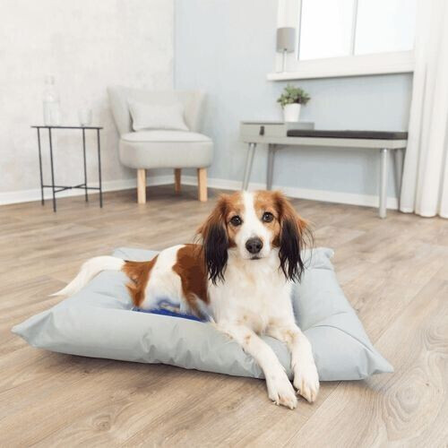 Trixie Tapis rafraîchissant pour chien 90x55cm