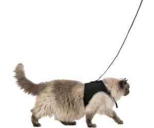 Buy deals cat harness