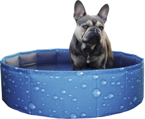 Kerbl Piscine pour chien 80 x 80 x 20 cm blue Kerbl Piscine pour chien 80 x 80 x 20 cm blue