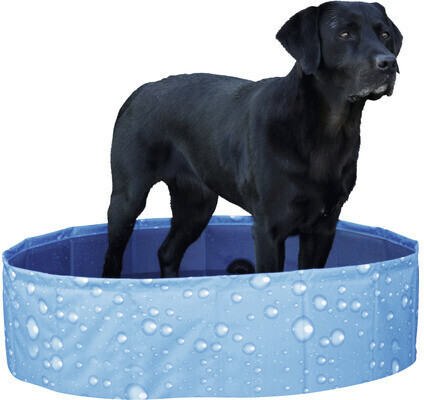 Kerbl Piscine pour chien 80 x 80 x 20 cm blue Kerbl Piscine pour chien 80 x 80 x 20 cm blue