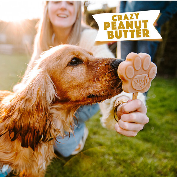 Smoofl Glace pour chien Smoofl Glace pour chien