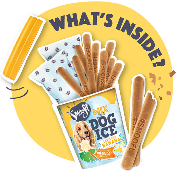 Smoofl Glace pour chien Smoofl Glace pour chien