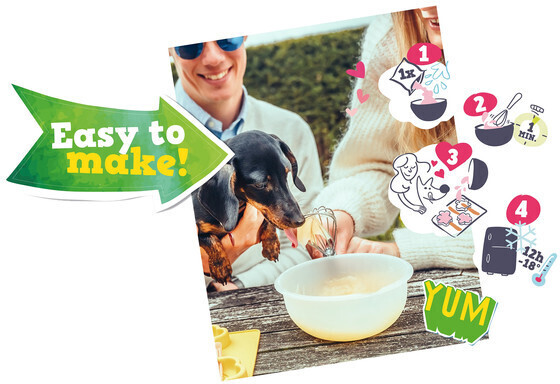 Smoofl Glace pour chien Smoofl Glace pour chien