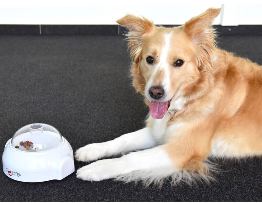 Flamingo Jeu d'intelligence pour chien
