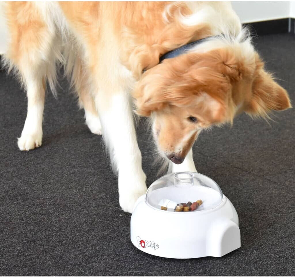 Flamingo Jeu d'intelligence pour chien