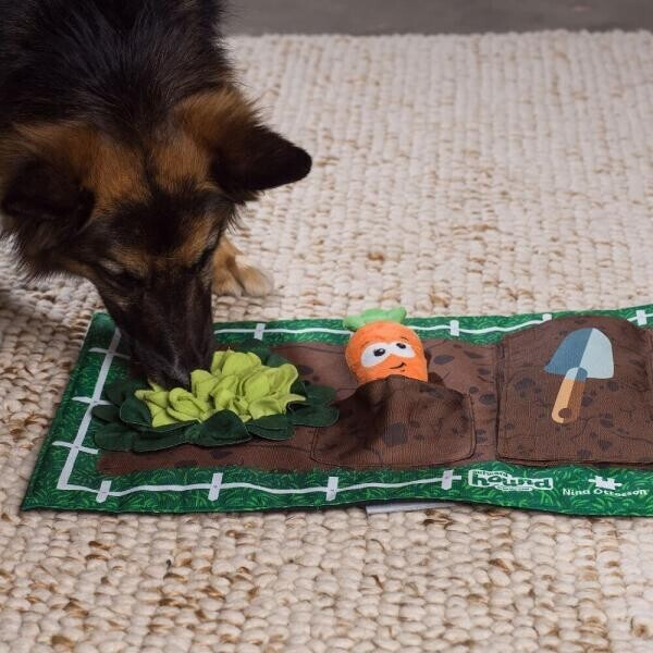 Outward Hound Jeu d'intelligence pour chien Outward Hound Jeu d'intelligence pour chien