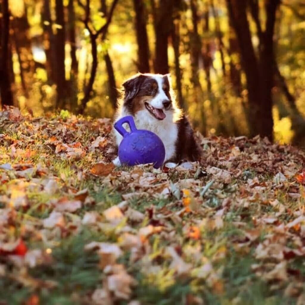 Jolly Pets Balle pour chien 15cm blue