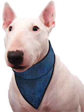 Aqua Coolkeeper Cooling bandana for dogs blue