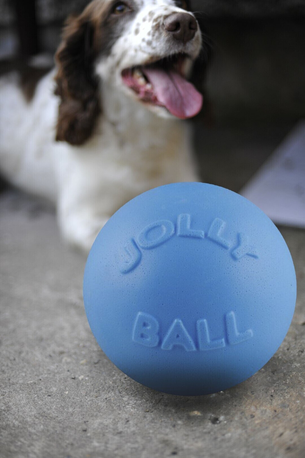 Jolly Pets Balle pour chien 20cm baby blue