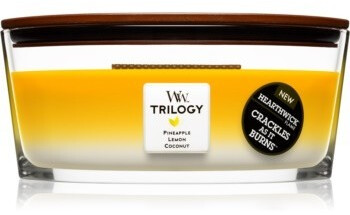 WoodWick Trilogy Fruits of Summer