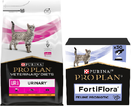 netto trockenfutter katze Forza10 Adult Cat Renal Active Dry Cat Food With Fish  ZuZu.land