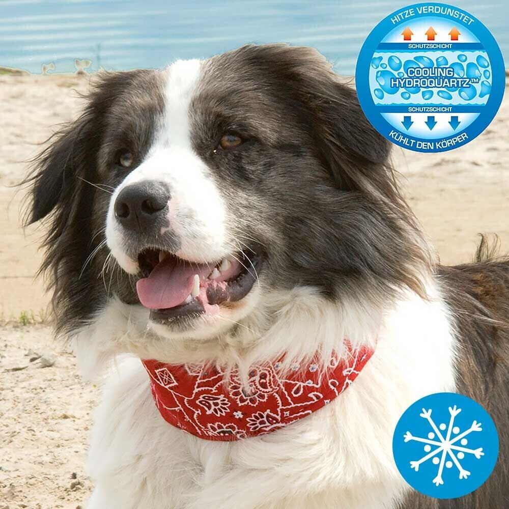 Aqua Coolkeeper Cooling dog collar XL 46-53cm Red Western