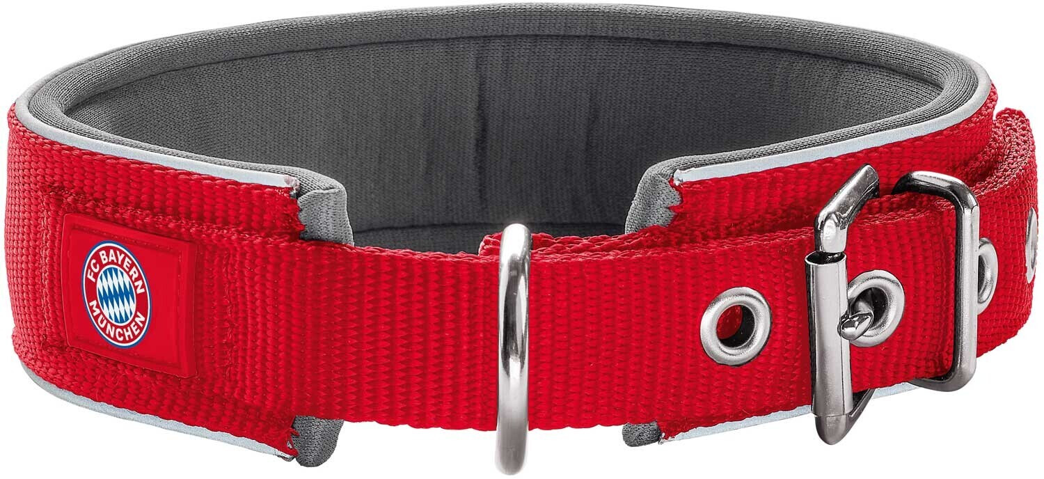 HUNTER Collier pour chien L 49-56cm HUNTER Collier pour chien L 49-56cm