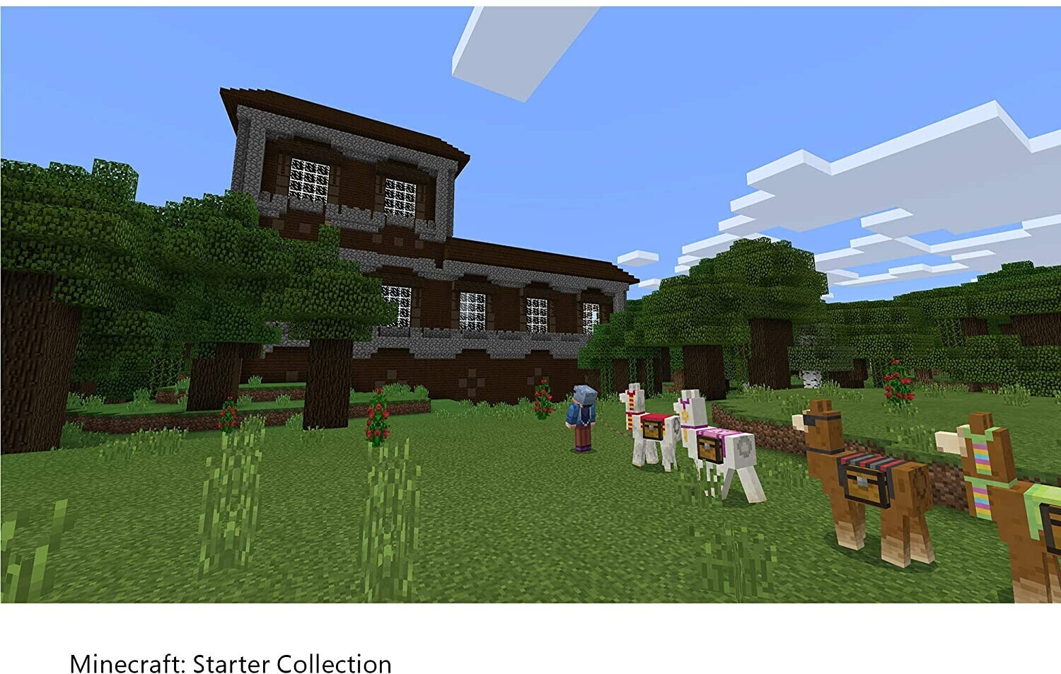 Minecraft: Starter Collection (PC)
