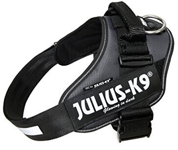 Julius K-9 IDC Powerharness L (1) anthracite