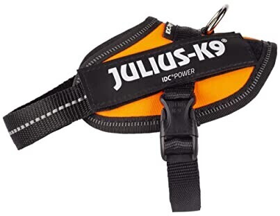 Julius K-9 Harnais pour chien 2XS UV Orange Julius K-9 Harnais pour chien 2XS UV Orange