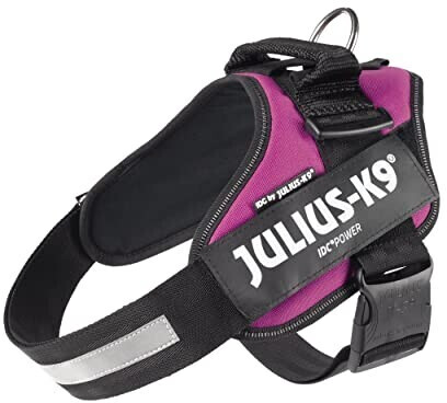 Julius K 9 IDC Powergeschirr L 1 dunkelviolett ab 31 95 Preisvergleich bei idealo