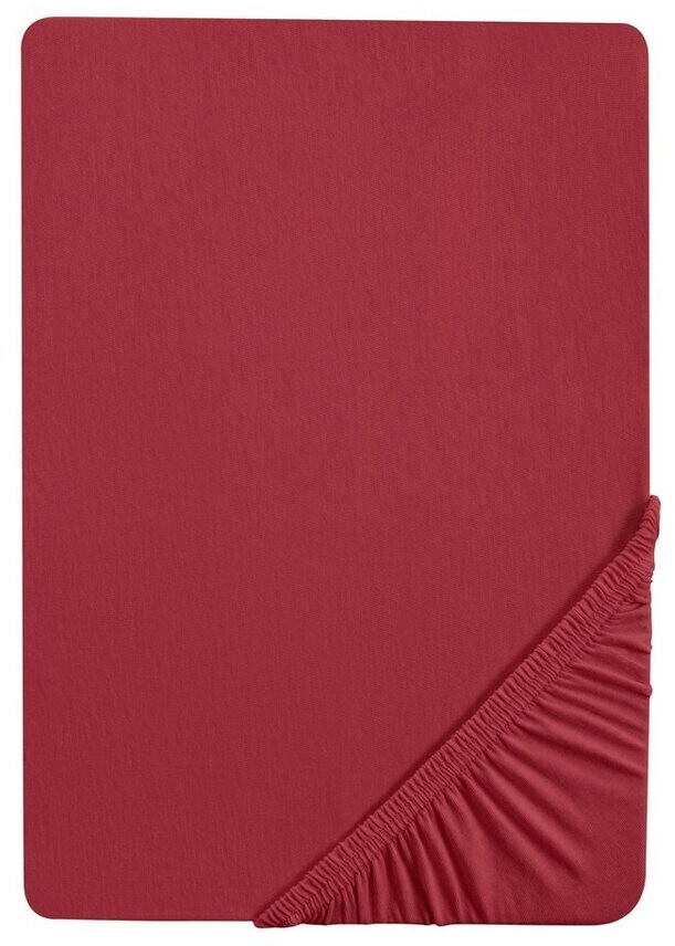 Biberna 12344 Terry Stretch 90-100x190-200cm Rust