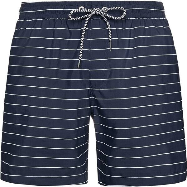 Protest Sharif Swim Shorts (2796700) ground blue