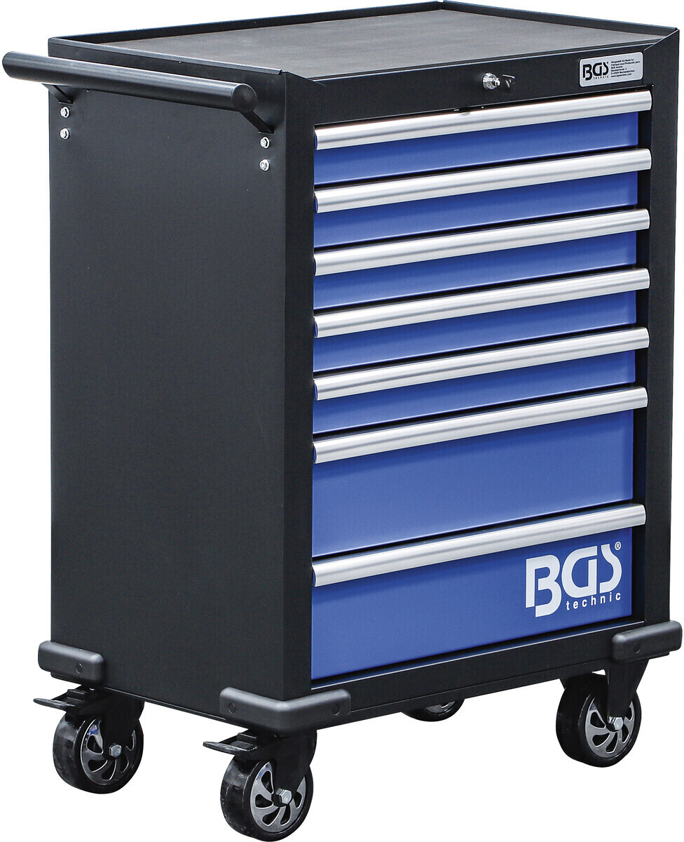 BGS 4204