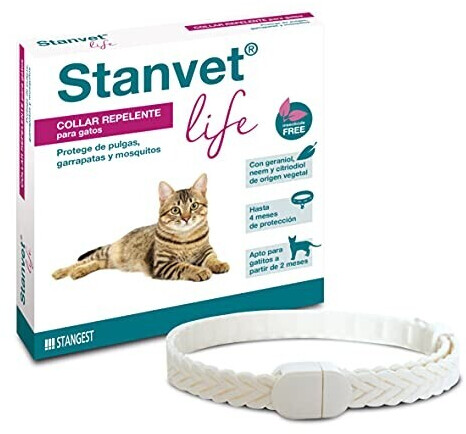 Stangest Stanvet Life Collar for cats
