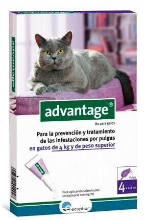 Ecuphar Advantage Spot-on for cats