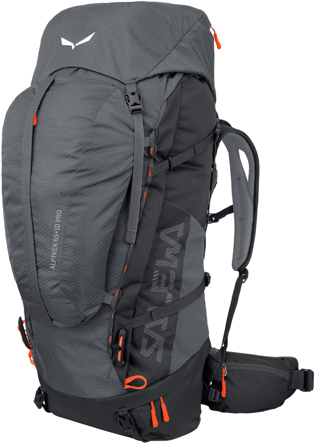 Salewa Alptrek 65+10 Pro quiet shade