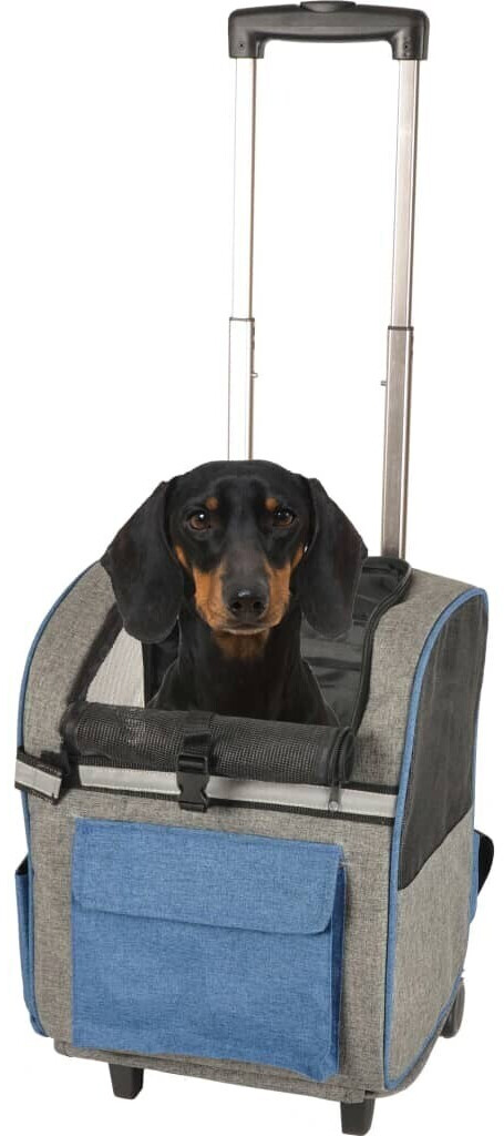 Flamingo 2-in-1 Trolley & Backpack Kiara Blue
