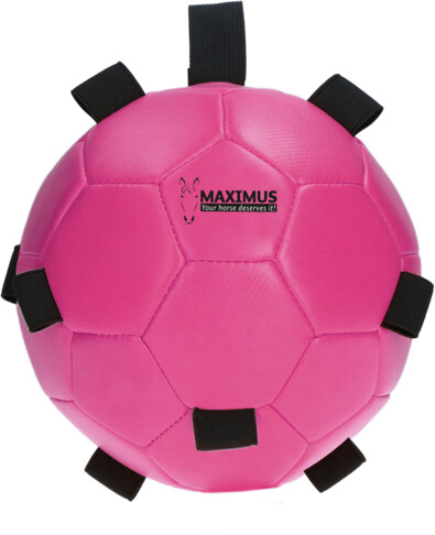 Holland Animal Care Maximus Fun Play Ball