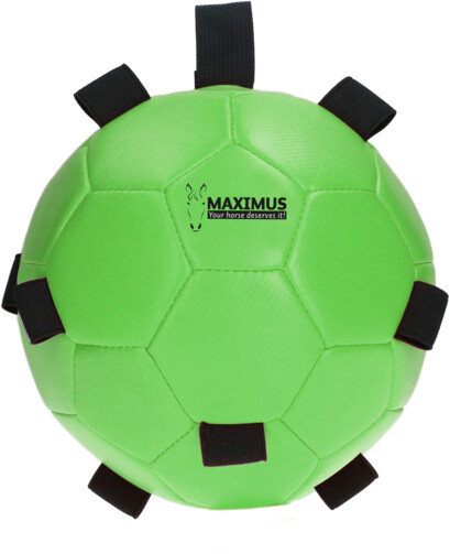 Holland Animal Care Maximus Fun Play Ball 19cm Green
