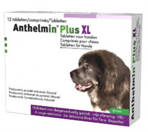 KRKA Anthelmin Plus XL for Dogs 12 Tablets