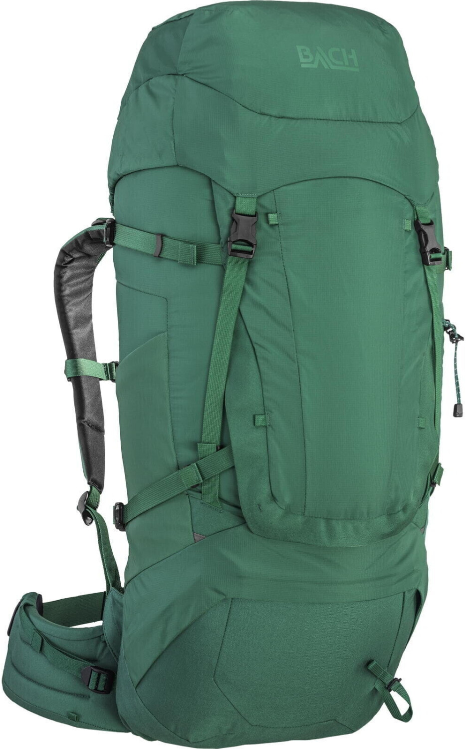 Bach Daydream 50 Regular (289929) pine green