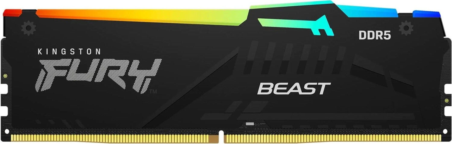 Kingston FURY Beast RGB 16 Go DDR5-5600 CL40 (KF556C40BBA-16)