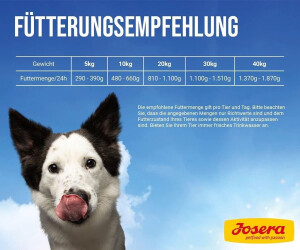 amazon hundefutter trocken Wildsterne Breed Selection Chihuahua  Hundefutter ohne Getreide