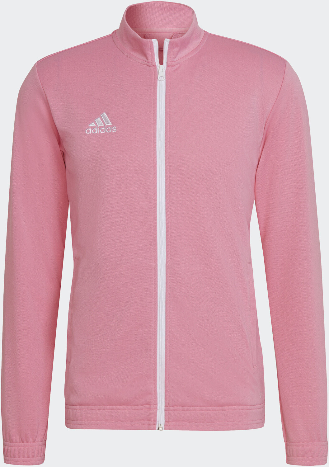 Image of Adidas Man Entrada 22 (HC5084) semi pink glow